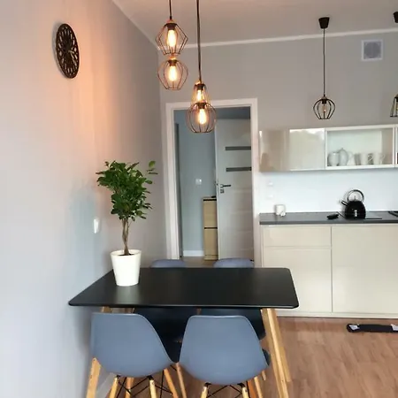 Politechnika Apartment Posen